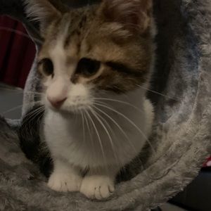 Meet your Posher, Ashlee